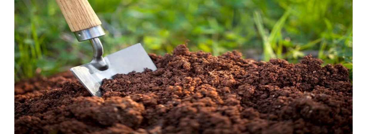 Влияние кислотности на почву